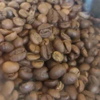 فروش ویژه قهوه