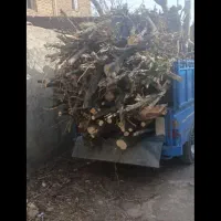 درخت بری رایگان و خرید چوب