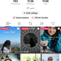 پیچ تیک تاک فروشی