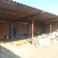 فروش یک سالن دامداری|مصالح و تجهیزات ساختمان|باوی, |دیوار