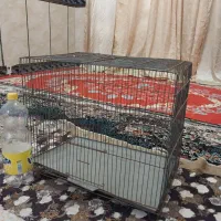 قفس پرنده|لوازم جانبی حیوانات|خرمشهر, |دیوار