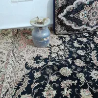 فروش پکنیک نوع نوع