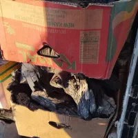 30تا کارتون ذغال پسته