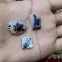 شجر عقیق قاین ، باباغوری، عقیق سلیمانی