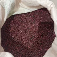 لوبیا چیتی وقرمز|خوردنی و آشامیدنی|قم, شهر قائم|دیوار