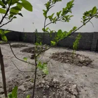 ۴۰۰ متر ۴دیواری مجوز دار*امکانات تکمیل