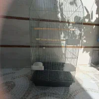 قفس بزرگ