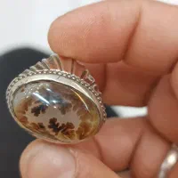 انگشترشجرقاینات اصل