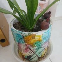 گل طبیعی با گلدون آماده بسیار زیبا|گل و گیاه طبیعی|قم, انسجام|دیوار