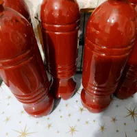 رب خانگی