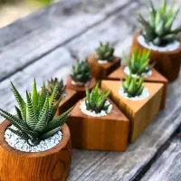 فروش گل های مصنوعی مدرن|گل مصنوعی|تهران, آسمان|دیوار