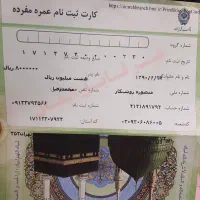 دو عدد فیش عمره|تور و چارتر|تهران, باغ فیض|دیوار