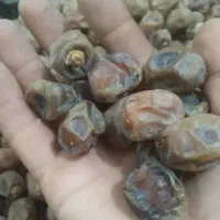 خرما برحی تمیز|عمده‌فروشی|چمران, |دیوار