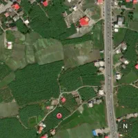 فروش یا معاوضه زمین دارای کیوی