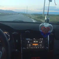 دنا ابشنال