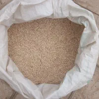 جوفروشی