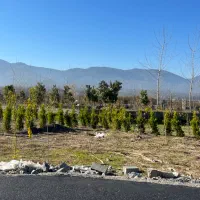 فروش-زمین-شهرک-اسفالت-شده-در-ایزخورده