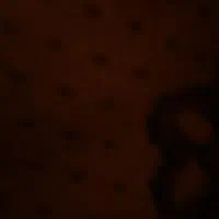 مدارک گم شده