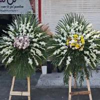 تاج گل فقط ۳ تومن