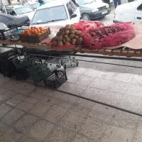 تخت میوه|فروشگاه و مغازه|ایذه, |دیوار