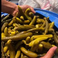 پخش عمده وخرده انواع خیارشور ونایی به قیمت تولید