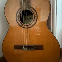 گیتار|گیتار، بیس، امپلیفایر|تهران, میرداماد|دیوار