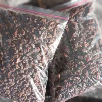 کشمش بیدانه|خوردنی و آشامیدنی|محمدیه-قزوین, |دیوار