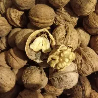 فروش گردو و سیب و سرکه سیب هفت ساله،محصول طالقان