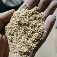 سبوس برنج برای دام|حیوانات مزرعه|ماهیدشت, |دیوار