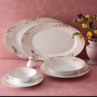 سرویس چینی زرین۱۲نفره
