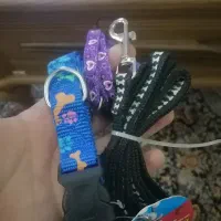 قلاده