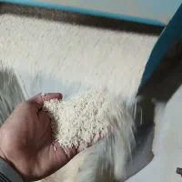 برنج کشت ۲|خوردنی و آشامیدنی|دابودشت, |دیوار