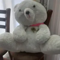 عروسک خرس