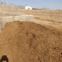 کود حیوانی گاو ، تمیز یک دست خالص،بدون خاک وغیره..|خدمات باغبانی و درختکاری|کاشمر, |دیوار