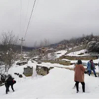 فروش زمین  قسطی به قیمت مناسب|فروش زمین و ملک کلنگی|آلاشت, |دیوار