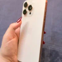 16 پرومکس