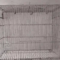 قفس پرنده