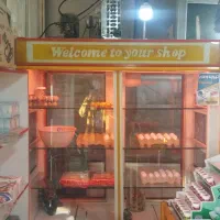 یخچال|فروشگاه و مغازه|سنقر, |دیوار