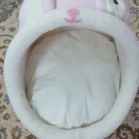 تخت گربه