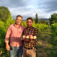 فروش باغ هلو