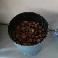 باکس گل|گل و گیاه طبیعی|تهران, عباسآباد|دیوار
