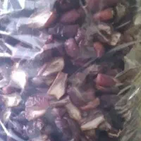 بریده مضافتی