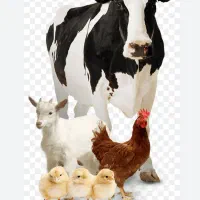 مشورت . لطفا نظر دهید