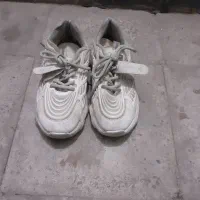 کفش وکتانی|کیف، کفش، کمربند|اندیشه, اندیشه فاز ۱|دیوار