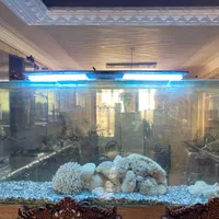 اکواریوم ماهی