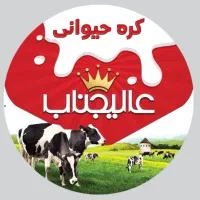 ویزیتور تلفنی دورکاری حرفه‌ای و با تجربه