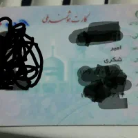 گمشده