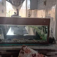 اکواریوم با تمام تجهیزات