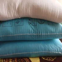 امانتی یک کیسه برنج دارم برای میاندوآب