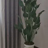 درخچه مصنوعی